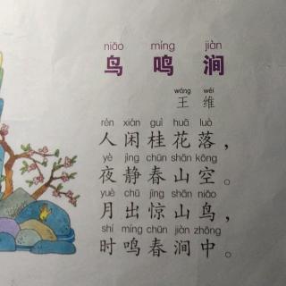 鸟鸣涧古诗带拼音