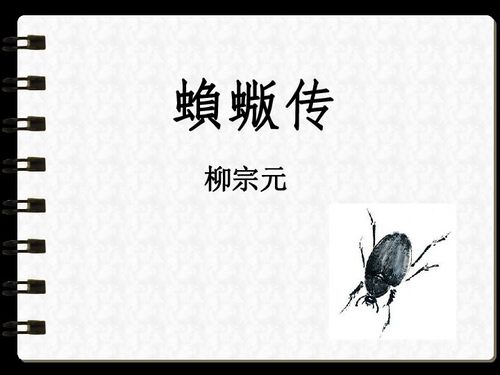 蝜蝂传的寓意是什么，蝜蝂传记叙文文言文翻译
