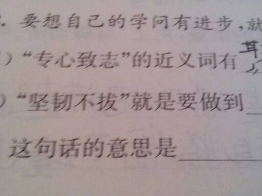 坚韧不拔是什么意思?