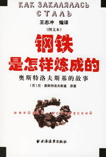 钢铁是怎样炼成的读后感500字左右初中，钢铁是怎样炼成的读书笔记感悟