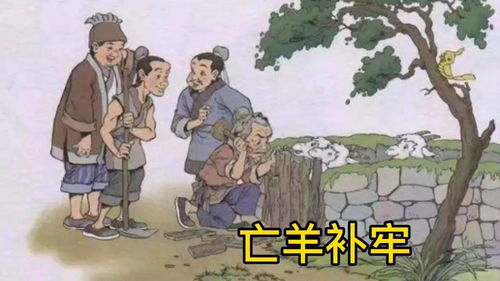 亡羊补牢为时不晚英文，亡羊补牢为时不晚的类似句子