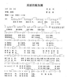 孙小宝报歌名歌词