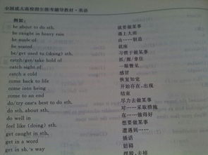 仓可以组什么词