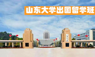 山东大学出国留学班录取分数线，山东大学出国留学预科班