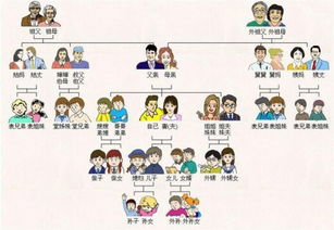 亲戚关系表，亲戚关系顺口溜