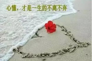 很久没喝酒发朋友圈的句子，失恋喝酒发朋友圈的句子