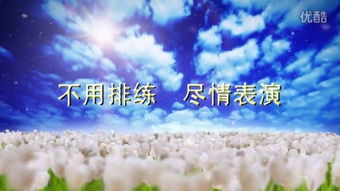 梦想天空分外蓝 歌词，梦想天空分外蓝是哪个电视台推广曲