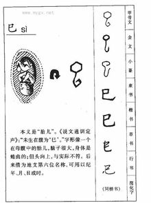巳是什么字 怎么读音
