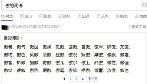 骄傲的傲,可以组什么词?