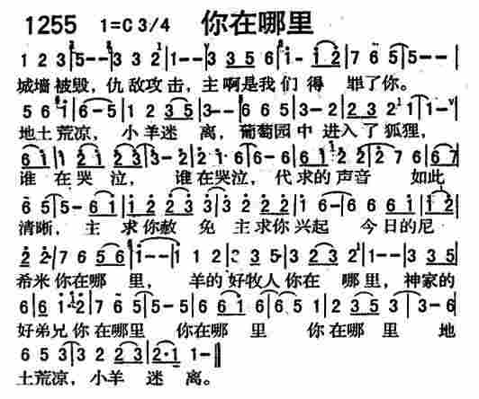 亲爱的你在哪里歌词，后来的你在哪里歌词