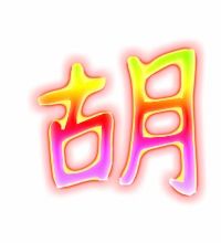 胡字的意思 胡是什么意思