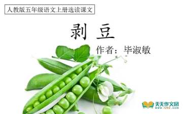 求下面几个字的读音剥豆,剥削,剥夺,剥莲蓬;关系,系统,系绳,系鞋带;露