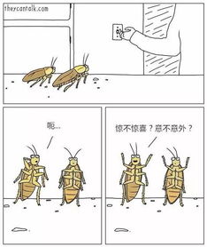 卧榻的意思，卧虎藏龙的意思