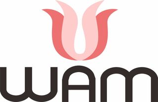 WAM是什么意思