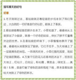 好词语有哪些?
