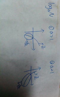 正数包括什么?