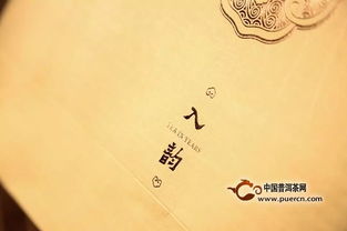 韵味是什么意思，依韵是什么意思