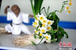 世界各国的国花是什么?