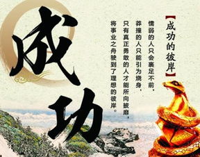 读书名言名句优美句子摘抄