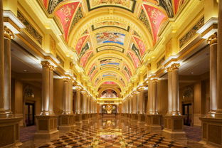 casino韩剧，casino是什么品牌