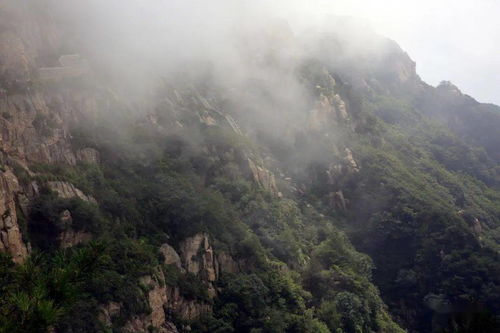 青山遮不住,毕竟东流去.《菩萨蛮·书江西造口壁》诗词原文赏析|名句