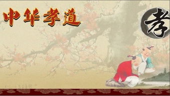 五律是什么意思，五律检测吾爱网
