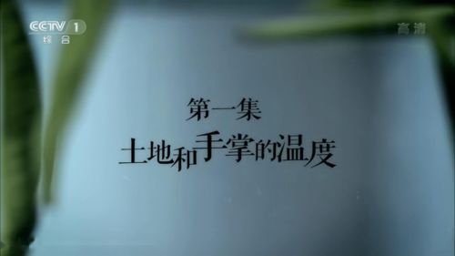 传承的近义词?
