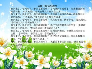 春天的秘密是什么意思，春天的秘密动画视频