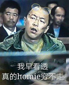 厚米是什么意思啊，电子homie是什么意思