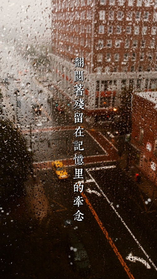 徘怎么读 徘的意思