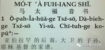 帮我用温州话翻译下,谢谢