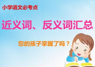 鲜艳的近义词，着急的近义词