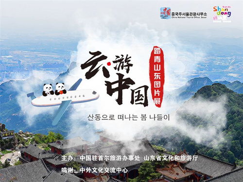 齐鲁青未了,岱宗夫如何的意思，齐鲁青未了全诗
