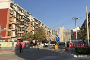马驹桥属于哪个区