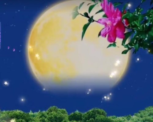 心月狐宿星，心月狐宿星是吉还是凶