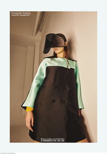 来分期是什么借款平台，laid