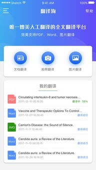 arrive翻译，above翻译