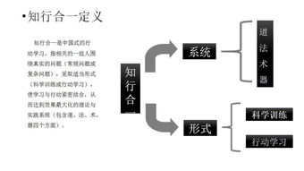 合一减肥，合一资本