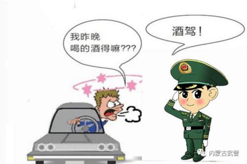 酒驾的危害心得体会，关于酒驾的危害
