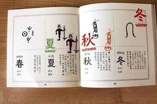 解组词和读音
