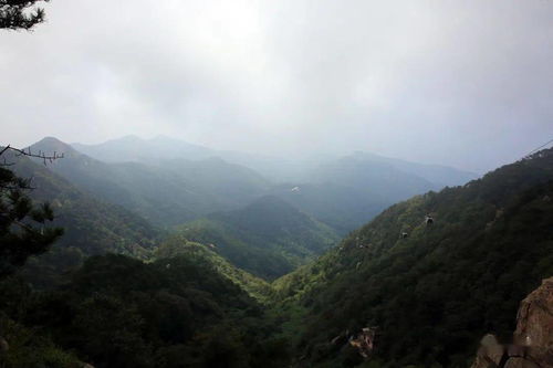 青山遮不住毕竟东流去的哲理，青山遮不住 毕竟江流去