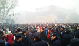安阳市天津泰诺非法集资什么时候清退?