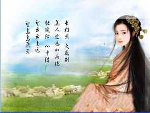 形容月光的词语有哪些?