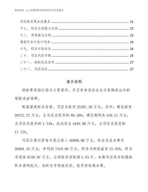 向上级申请资金报告模板7篇
