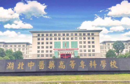 什么是大学专科?