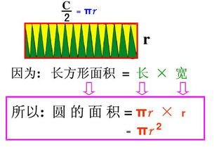 圆的表面积公式怎么计算 圆的表面积的算法