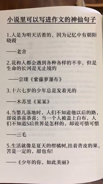 关于小说的作文600字，关于小说的作文500字六年级