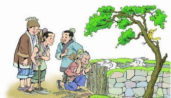 “亡羊补牢”的后半句是“为时已晚”还是“为时未晚”