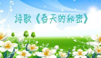 幼儿园大班语言课件:《春天的秘密》