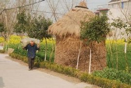 草行露宿词类活用，草行露宿指什么生肖